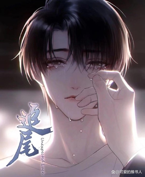 双男主，强推5本娱乐圈系列小说，高分惊艳之作，超级好看！