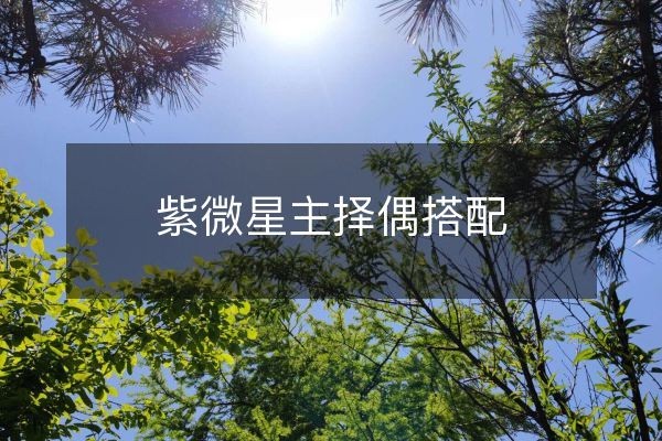 紫微星主择偶搭配