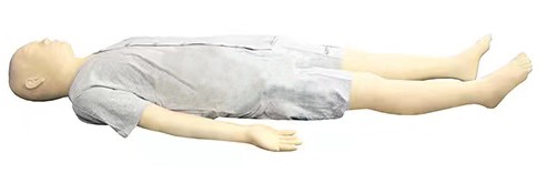 多功能中医技能训练模拟人