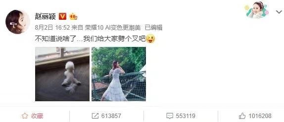 赵丽颖
