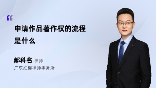 申请作品著作权的流程是什么