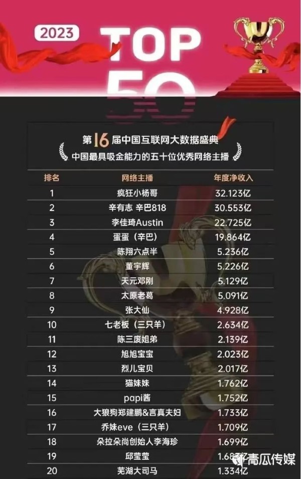 024年度中国网络主播净收入排行榜"