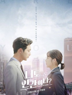 你也是人类吗