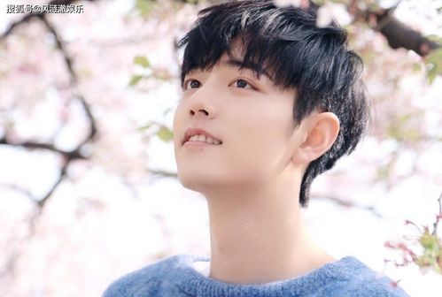 灯塔是唐汉霄贴着肖战写的_2019今日头条年度盛典荣誉揭晓，头条创作者与明星同台领奖