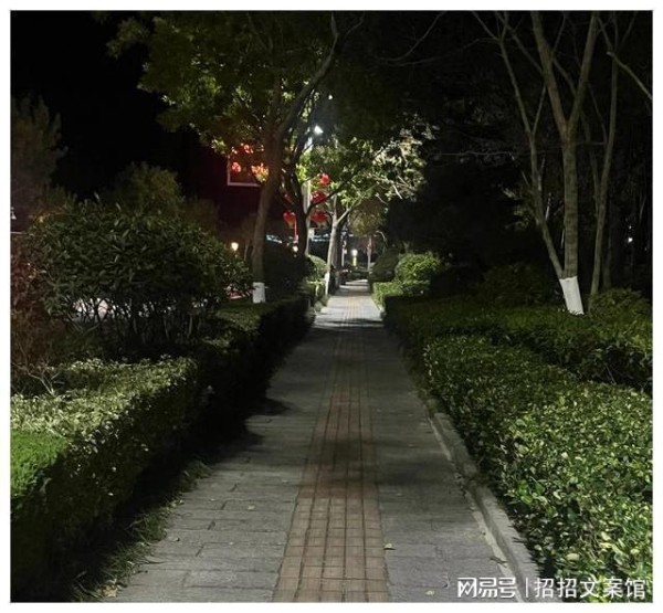 法律中关于配偶、血亲、姻亲等亲属的规定和意义。