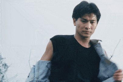 《我心中的宝藏歌手刘德华》