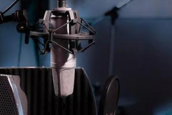 声音有哪四种类型，分为少女音、御姐音、奶狗受音、霸气攻音