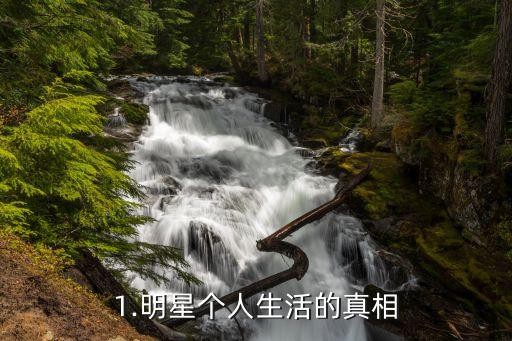 1.明星个人生活的真相