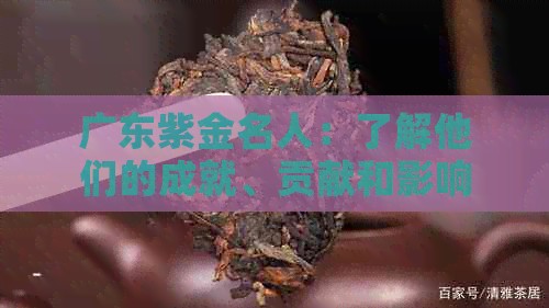 广东紫金名人：了解他们的成就、贡献和影响力