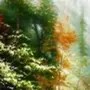 遥尐江上笔