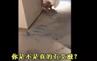 别拿生命去发生性关系！有的人已经疯狂
