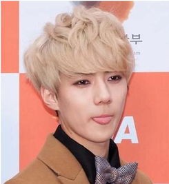 12星座各配什么男明星
