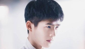 12星座各配什么男明星