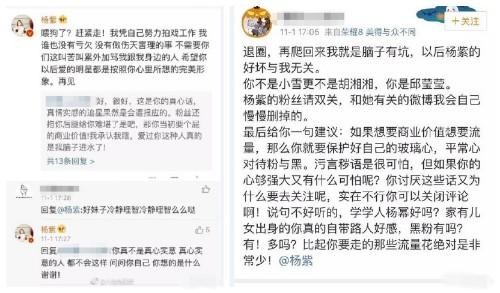 杨紫怒怼“粉丝”为自己正名,网友为何直呼骂得好?