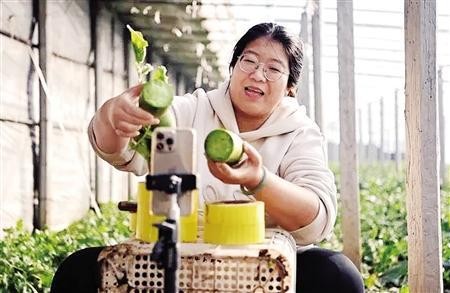 “90后”新农人张蕊在大棚里直播带货
