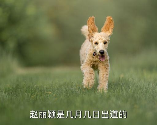 赵丽颖是几月几日出道的