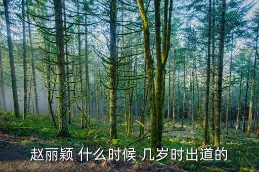 赵丽颖 什么时候 几岁时出道的