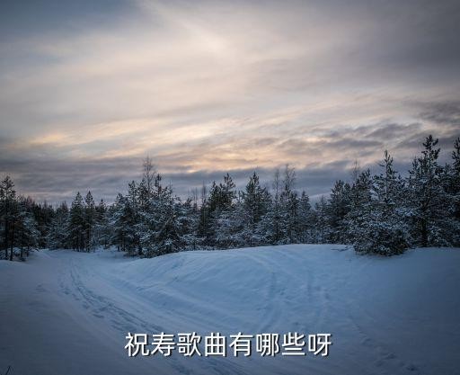 祝寿歌曲有哪些呀