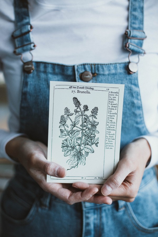 Canva - inspiration
