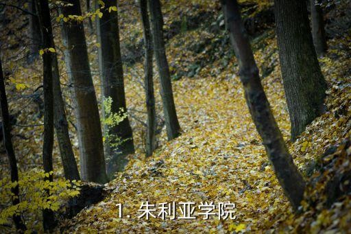 1. 朱利亚学院