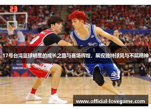 17号台湾篮球明星的成长之路与赛场辉煌，展现独特球风与不屈精神