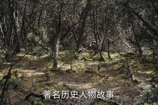 著名历史人物故事