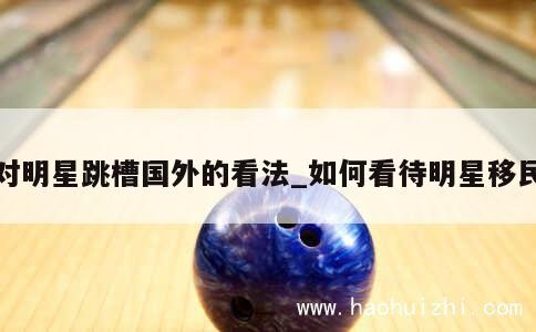 对明星跳槽国外的看法_如何看待明星移民 第1张