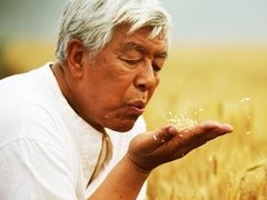 我的土地我的家 张筝
