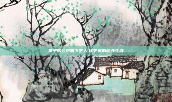 黄子韬公司旗下艺人,徐艺洋的职业生涯