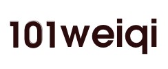 101 Logo