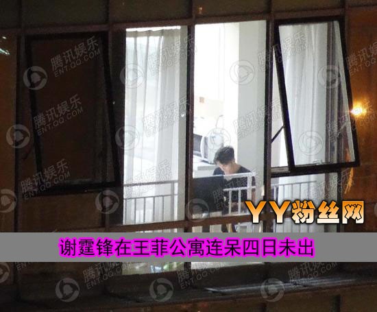 王菲谢霆锋复合是真的吗俩人公寓亲吻视频 王菲谢霆锋为什么分手
