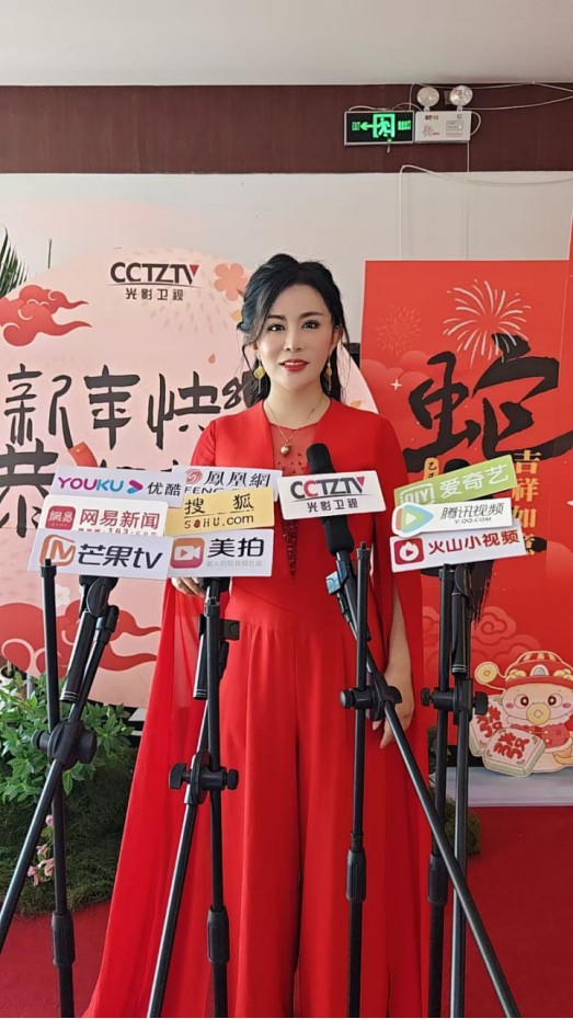 歌手段美玲：从主旋律歌手到文化推广大使的华丽蜕变