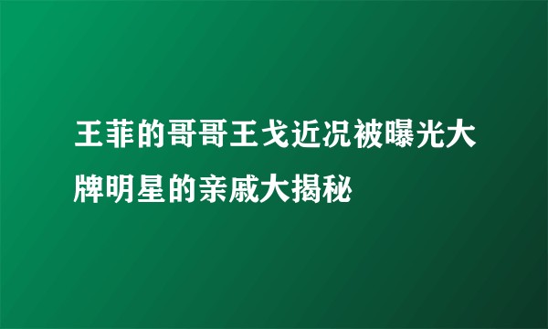 王菲的哥哥王戈近况被曝光大牌明星的亲戚大揭秘