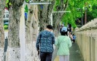 今年以来最强降雨来袭！大雨、暴雨即将抵达福建！