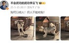 比亚迪高管“狗可以咬人！但人不能咬狗！”