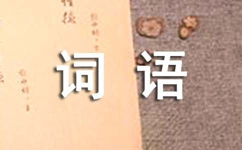 明星姚晨经典台词语录