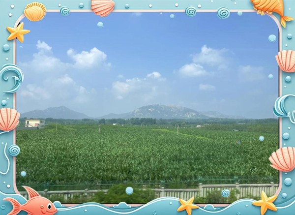 爆笑两则：明星尴尬瞬间与幽默日常