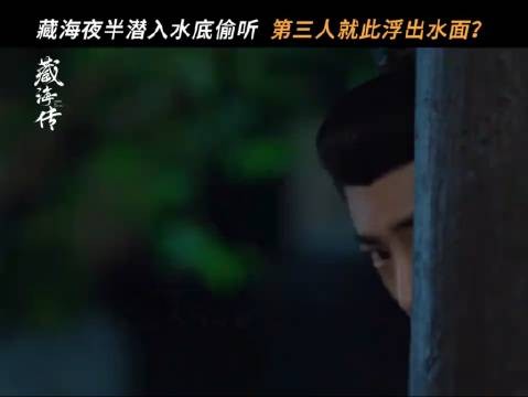 藏海传第三人身份揭晓,冬夏质子香暗荼现身