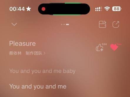 Pleasure这段实在太精彩了~ 我姐姐真的超酷!