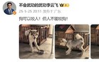 人民造车家——BYD