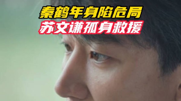 秦鹤年身陷危局,苏文谦孤身救援