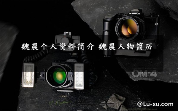 魏晨个人资料简介 魏晨人物简历文章配图