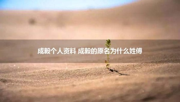 成毅个人资料简介（成毅明星资料大全）
