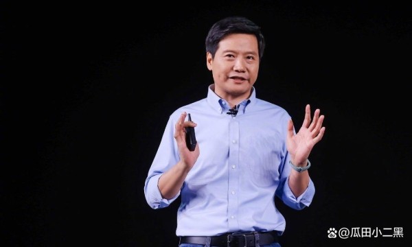 雷军：从逐梦少年到科技巨头的破局之路