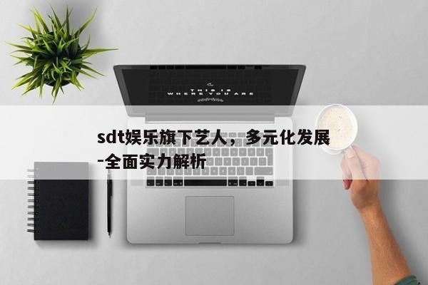 sdt娱乐旗下艺人，多元化发展