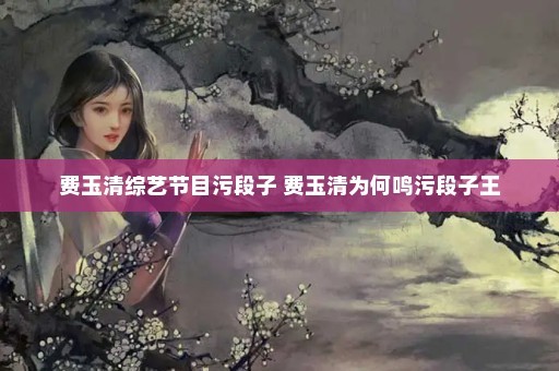 费玉清综艺节目污段子 费玉清为何鸣污段子王