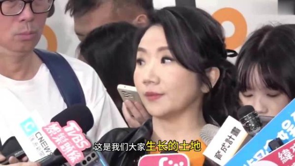 陶晶莹称台湾艺人工作辛苦因立场问题