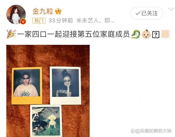 金靖发文官宣怀孕，一直以为她是个单身的搞笑女，没想到啊！