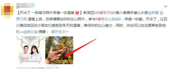 贾乃亮宣传公益晒自拍，专属独特的L型比心方式却亮了