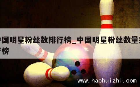 中国明星粉丝数排行榜_中国明星粉丝数量排行榜 第1张